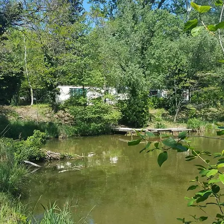 Camping De L'ile Blanc Rochemaure
